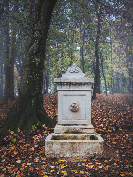 The old marble fountain in the forest on Oplenac hill in Serbia  Picture Board by Dejan Travica