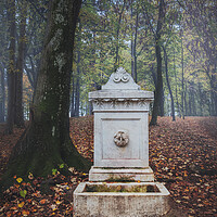 Buy canvas prints of The old marble fountain in the forest on Oplenac hill in Serbia  by Dejan Travica