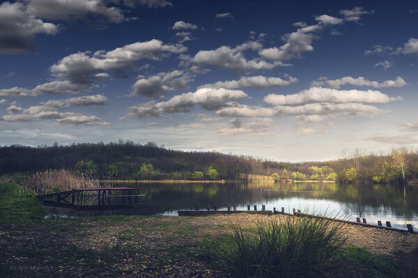 The small lake in early spring. Sumadija, Serbia. Picture Board by Dejan Travica