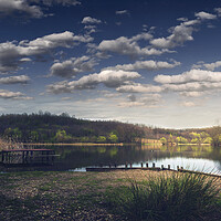 Buy canvas prints of The small lake in early spring. Sumadija, Serbia. by Dejan Travica