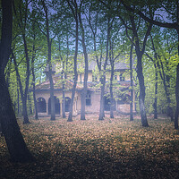 Buy canvas prints of Abandoned old villa in the forest by Dejan Travica