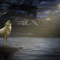 Buy canvas prints of White Wolf Howling by Dejan Travica