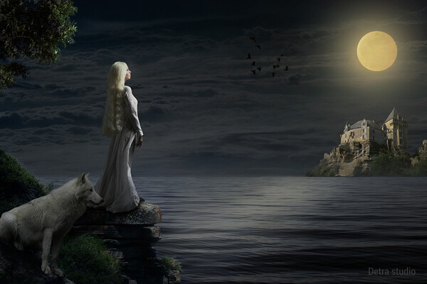 A girl and her white wolf in the moonlight Picture Board by Dejan Travica