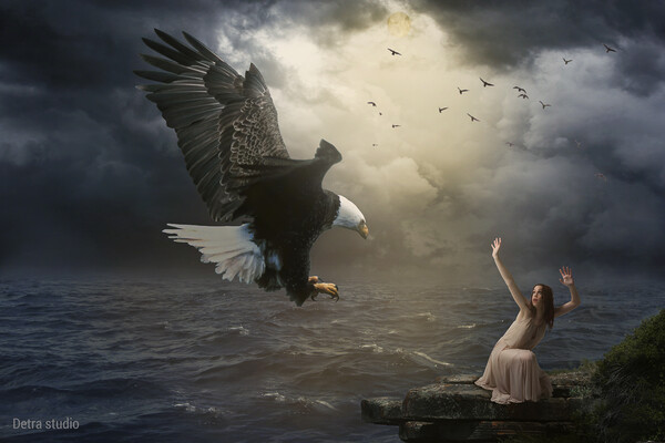 The girl and the eagle Picture Board by Dejan Travica