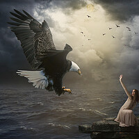 Buy canvas prints of The girl and the eagle by Dejan Travica