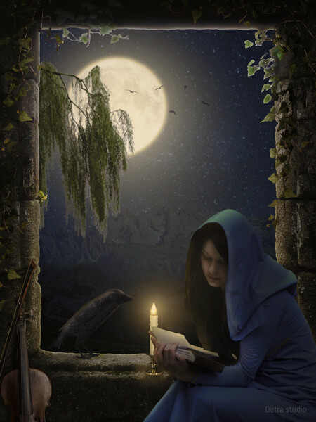 Reading in the moonlight Picture Board by Dejan Travica