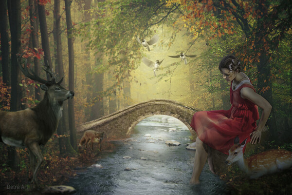 Beauty in a red dress is sitting on a stone next to a stream surrounded by forest friends. Picture Board by Dejan Travica