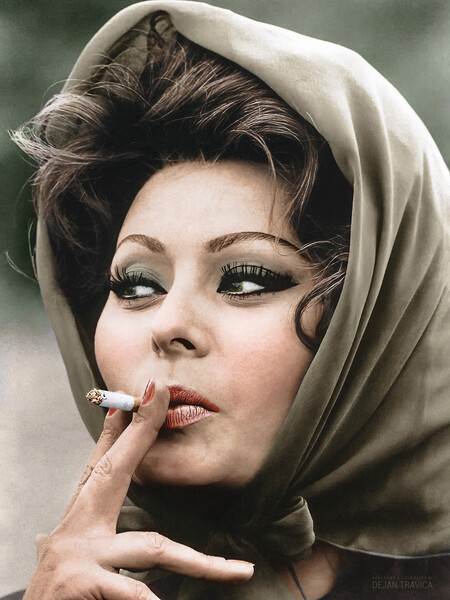 Gorgeous Sophia Loren with a headscarf smoking  Picture Board by Dejan Travica