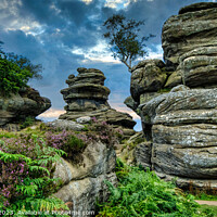 Buy canvas prints of Brimham Rocks by Keith Dawson
