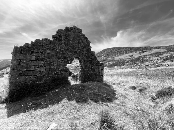 Ruined Croft house, Glendalough, Wicklow Mountains, Ireland Picture Board by Fiona Smallcorn