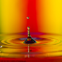 Buy canvas prints of High intensity water drop image by Colin Kerr