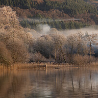Buy canvas prints of Loch Ard trees in the Mist by Colin Kerr