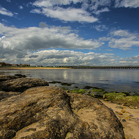 Buy canvas prints of Amble by CHRIS ANDERSON