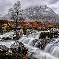 Buy canvas prints of The buchaille by CHRIS ANDERSON
