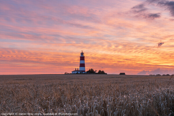 Happisburgh Lighthouse at Sunset Picture Board by Daniel Gray