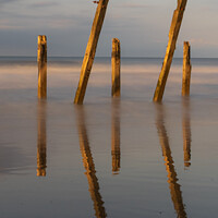 Buy canvas prints of The Posts  by Daniel Gray