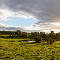 Buy canvas prints of Outdoor field by Man And Life