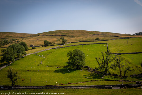 Yorkshire Dales Picture Board by Man And Life