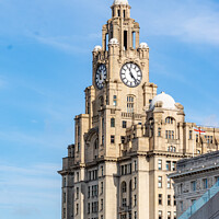 Buy canvas prints of Royal Liver Building by Man And Life