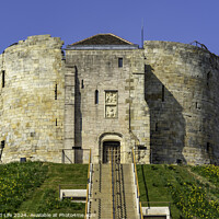 Buy canvas prints of York Castle by Man And Life