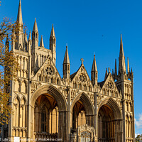 Buy canvas prints of Peterborough Cathedral by Man And Life