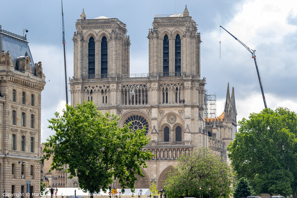 Notre Dame de Paris Picture Board by Man And Life