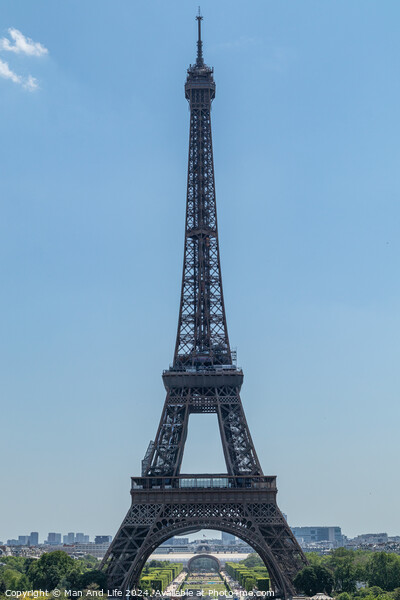 Eiffel Tower Picture Board by Man And Life