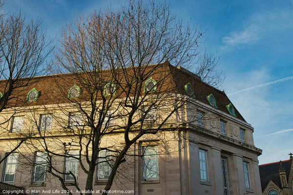 Classic European building facade with bare tree branches against a clear blue sky at dusk. Picture Board by Man And Life