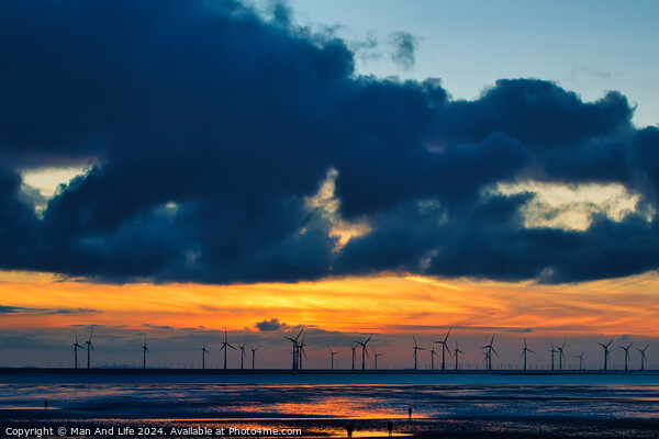 Sunset over sea with silhouette of offshore wind turbines, vibrant sky, and reflection on water in Crosby, England. Picture Board by Man And Life