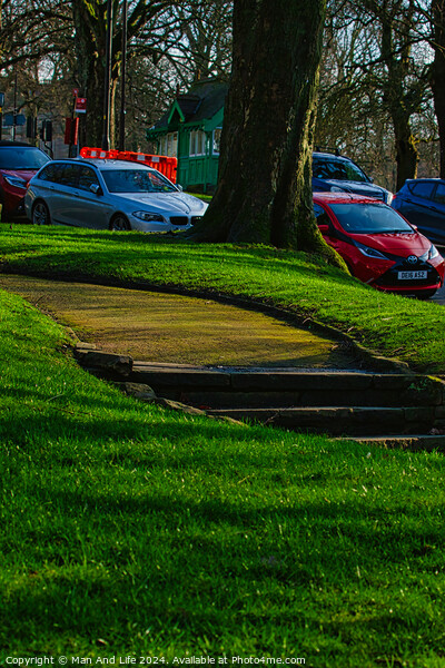 Sunny park with green grass and a pathway leading through trees, with parked cars in the background in Harrogate, England. Picture Board by Man And Life