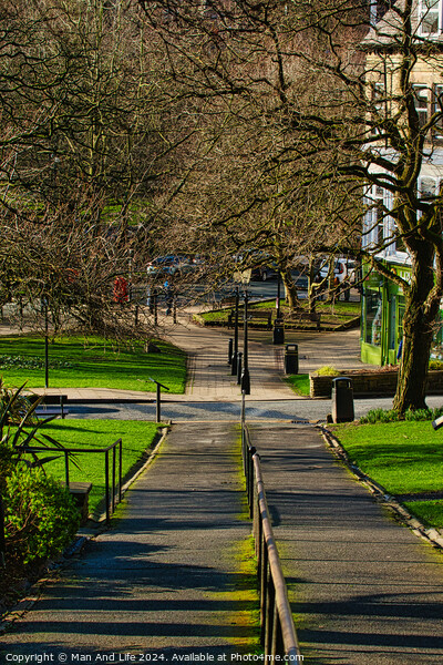 Sunny park pathway with trees casting shadows, green grass and benches, urban tranquil scene in Harrogate, England. Picture Board by Man And Life