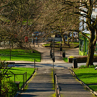 Buy canvas prints of Sunny park pathway with trees casting shadows, green grass and benches, urban tranquil scene in Harrogate, England. by Man And Life