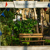 Buy canvas prints of Quaint garden scene framed by a white wooden structure with 'Harrogate' sign, featuring a bench and lush greenery, adorned with colorful pennants. by Man And Life