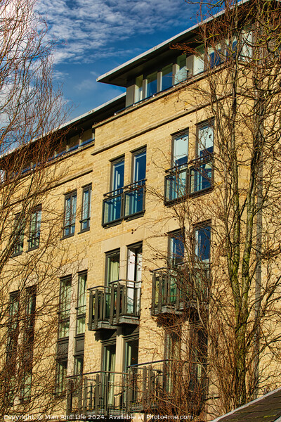 Facade of a modern apartment building with balconies, framed by leafless trees against a clear blue sky in Harrogate, England. Picture Board by Man And Life