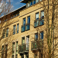 Buy canvas prints of Facade of a modern apartment building with balconies, framed by leafless trees against a clear blue sky in Harrogate, England. by Man And Life