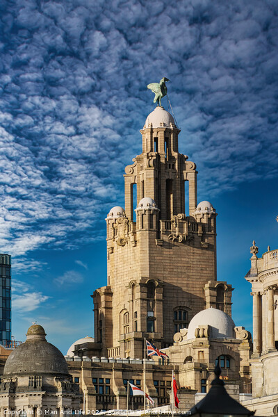Historic building with a statue on top under a blue sky with clouds in Liverpool, UK. Picture Board by Man And Life