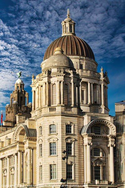 Majestic baroque building with a large dome under a blue sky with fluffy clouds in Liverpool, UK. Picture Board by Man And Life