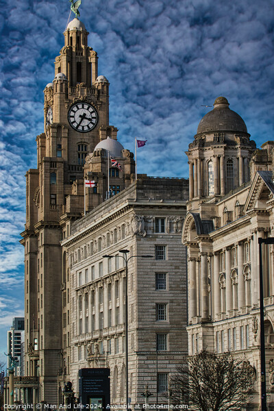Historic Liver Building in Liverpool with clock tower under a cloudy sky, iconic architecture. Picture Board by Man And Life