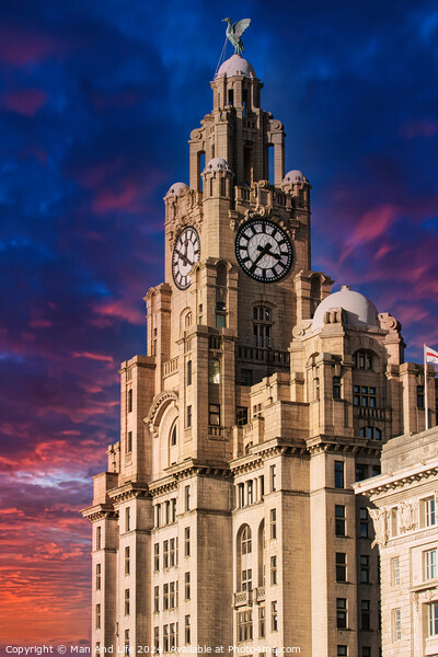 Historic clock tower building against a vibrant sunset sky in Liverpool, UK. Picture Board by Man And Life