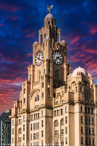 Liver Building in Liverpool, UK against a dramatic sunset sky Picture Board by Man And Life