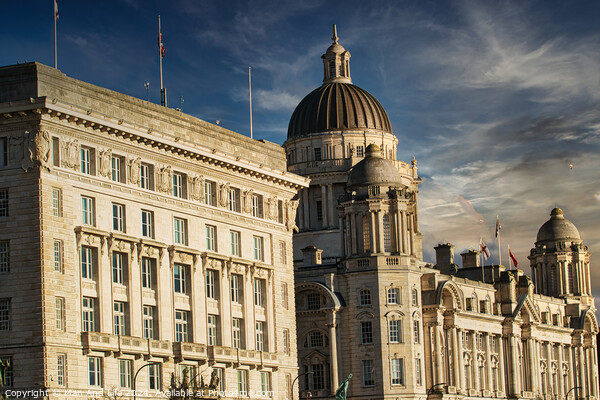 Historic architecture with a dome under a blue sky with clouds in Liverpool, UK. Picture Board by Man And Life
