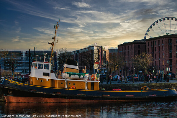 Tugboat in city harbor at sunset with ferris wheel and buildings in background in Liverpool, UK. Picture Board by Man And Life