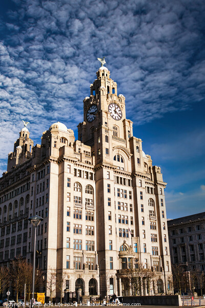 Historic clock tower building against a blue sky with clouds in Liverpool, UK. Picture Board by Man And Life