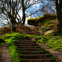 Buy canvas prints of Stone steps leading up a lush green hillside with bare trees against a clear sky at Brimham Rocks, in North Yorkshire by Man And Life