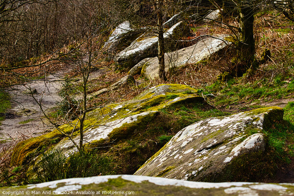 Moss-covered rocks in a forest with sunlight filtering through trees at Brimham Rocks, in North Yorkshire Picture Board by Man And Life