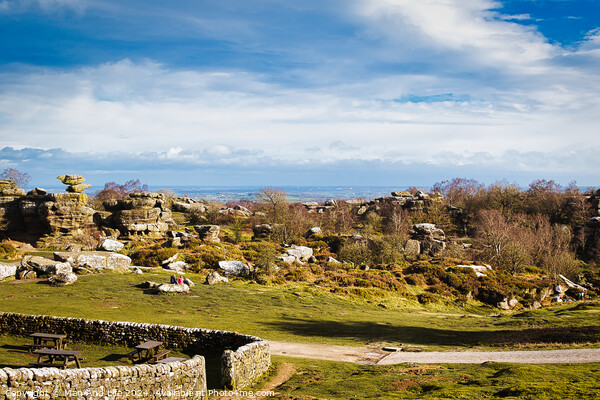 Scenic landscape with rocky formations, greenery, and a clear sky, ideal for travel and nature themes at Brimham Rocks, in North Yorkshire Picture Board by Man And Life