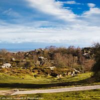 Buy canvas prints of Idyllic rural landscape with lush green fields, scattered trees, and a clear blue sky with fluffy clouds at Brimham Rocks, in North Yorkshire by Man And Life