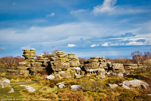 Picturesque rocky landscape with unique rock formations under a blue sky with fluffy clouds at Brimham Rocks, in North Yorkshire Picture Board by Man And Life