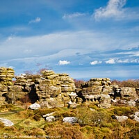 Buy canvas prints of Picturesque rocky landscape with unique rock formations under a blue sky with fluffy clouds at Brimham Rocks, in North Yorkshire by Man And Life