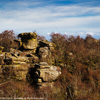Buy canvas prints of Rocky landscape with boulders and sparse vegetation under a cloudy sky at Brimham Rocks, in North Yorkshire by Man And Life